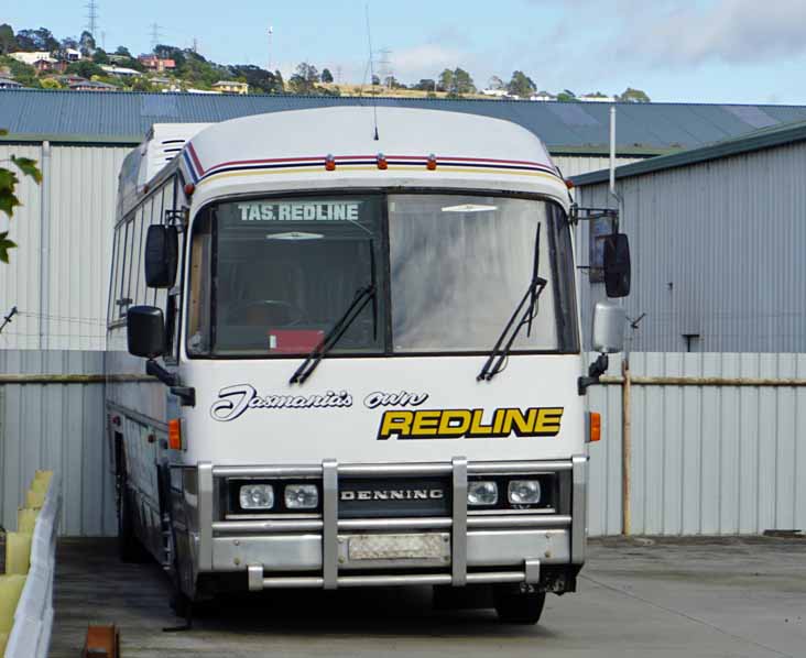 Tasmanian Redline Denning Landseer 109